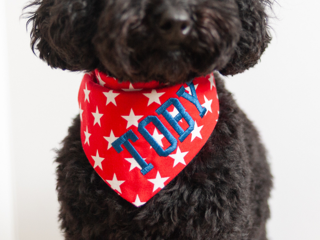 4th of july dog bandana with snaps