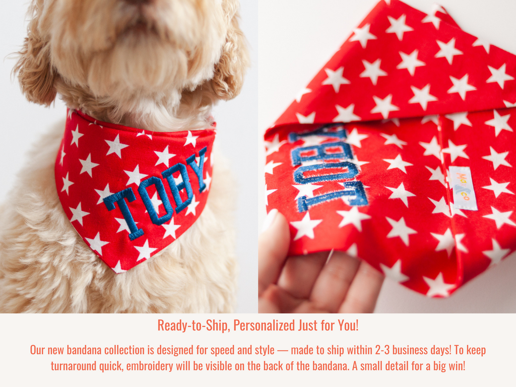 4th of july dog bandana with snaps