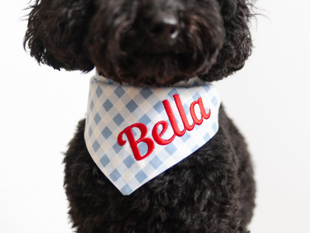 Light Blue Gingham Dog Bandana with name