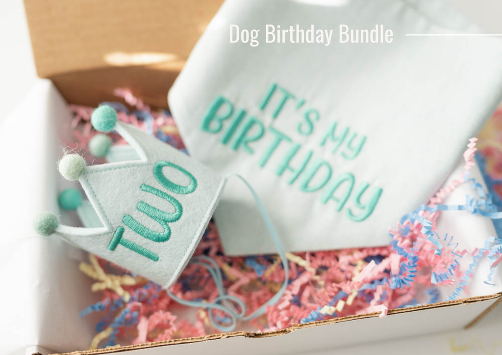 Birthday Dog Bandana and Crown