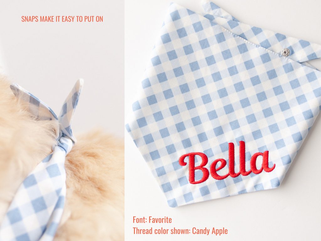 Light Blue Gingham Dog Bandana with name