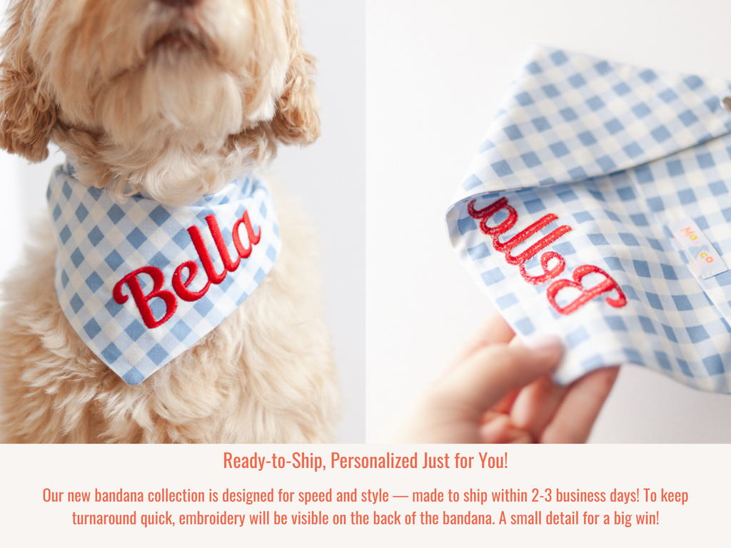Light Blue Gingham Dog Bandana with name