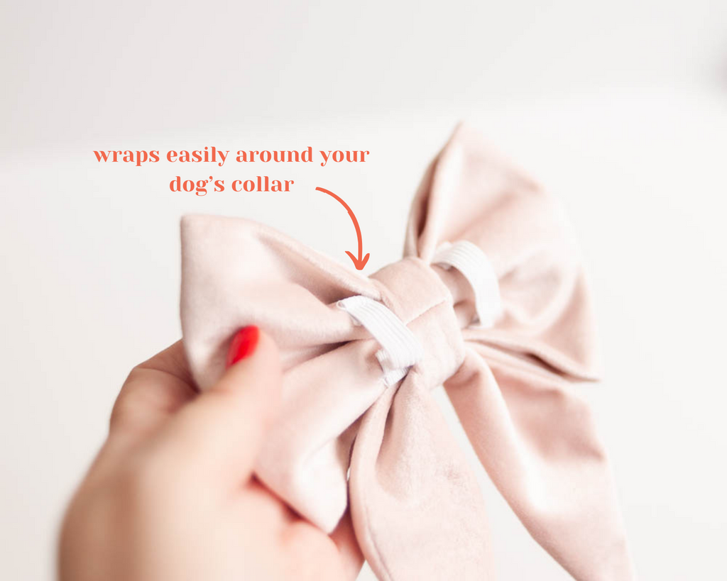 Dog Velvet Bow