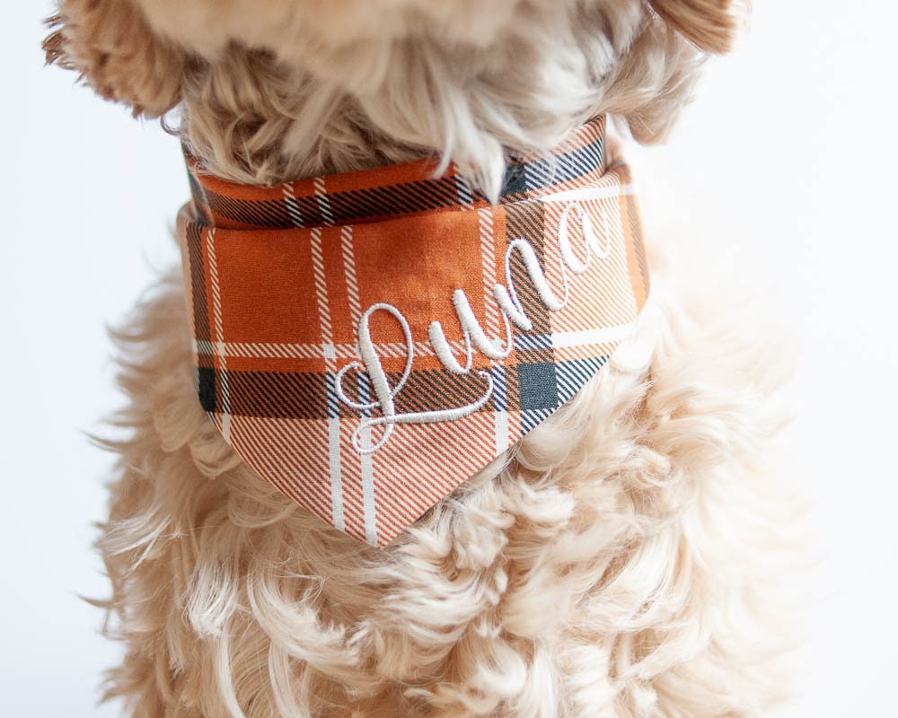 thanksgiving dog bandana with embroidery
