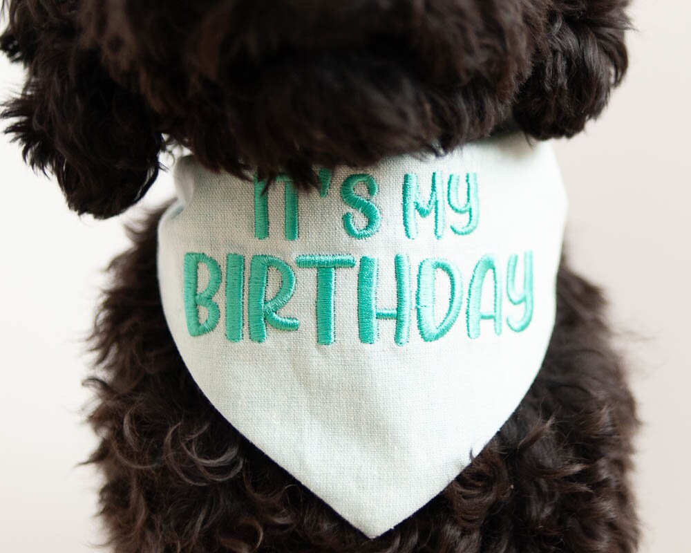 it&#39;s my birthday dog bandana with beautiful embroidery