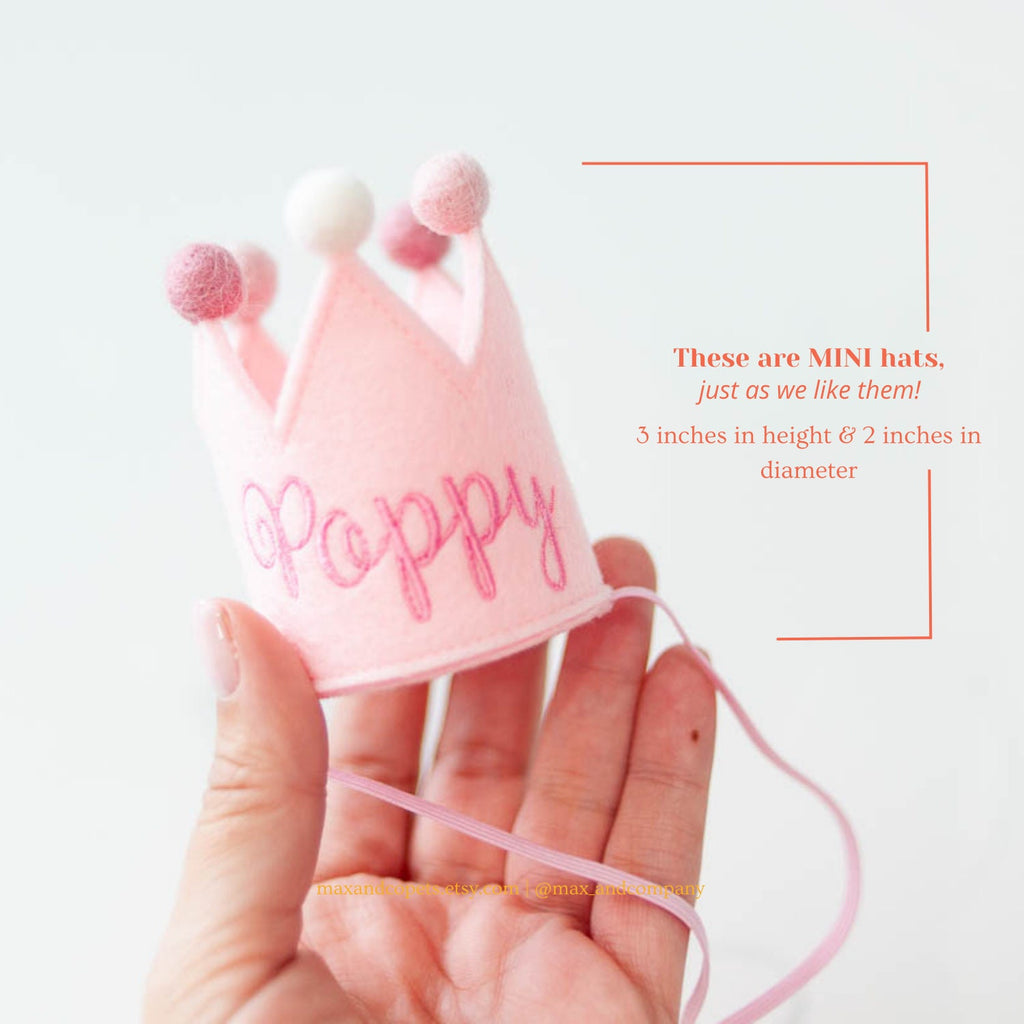 birthday hat for cats