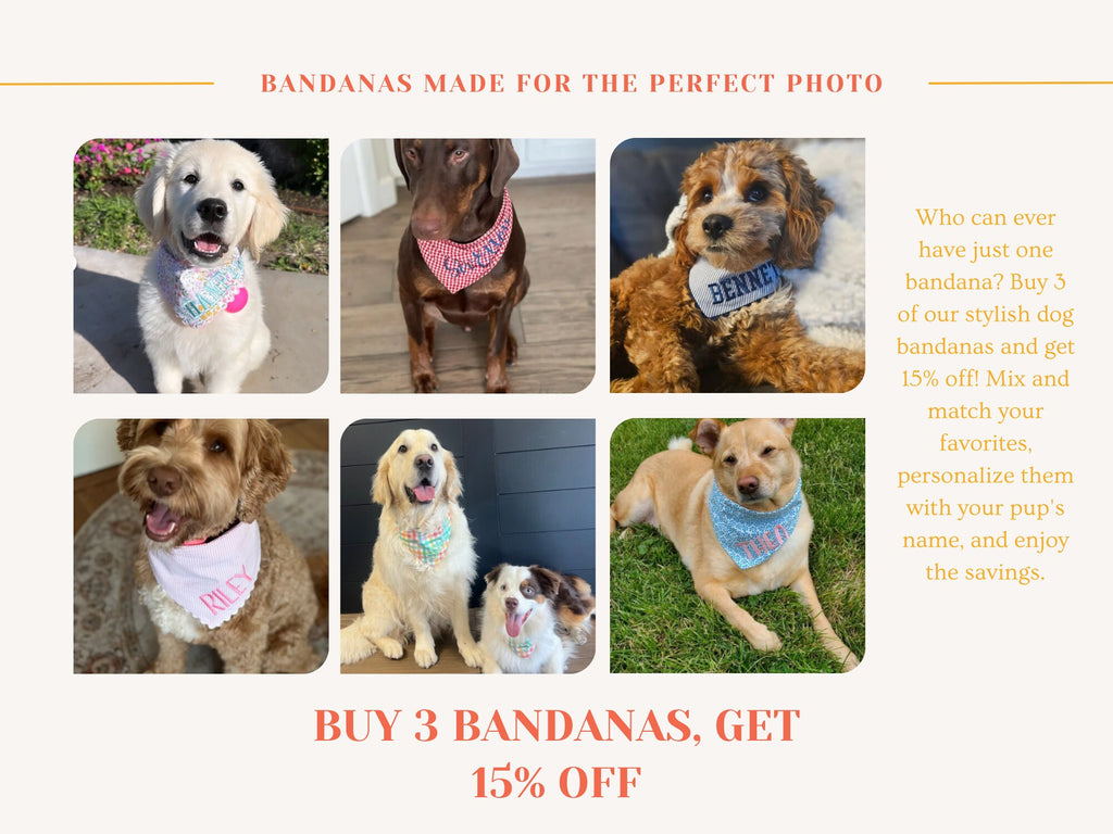 linen stripes bandana for dogs with name embroidered in blue thread