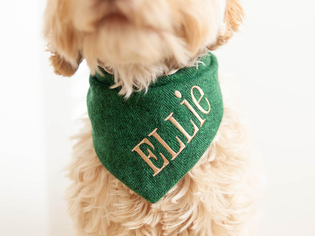 green dog bandana with snaps and personalized with dog name