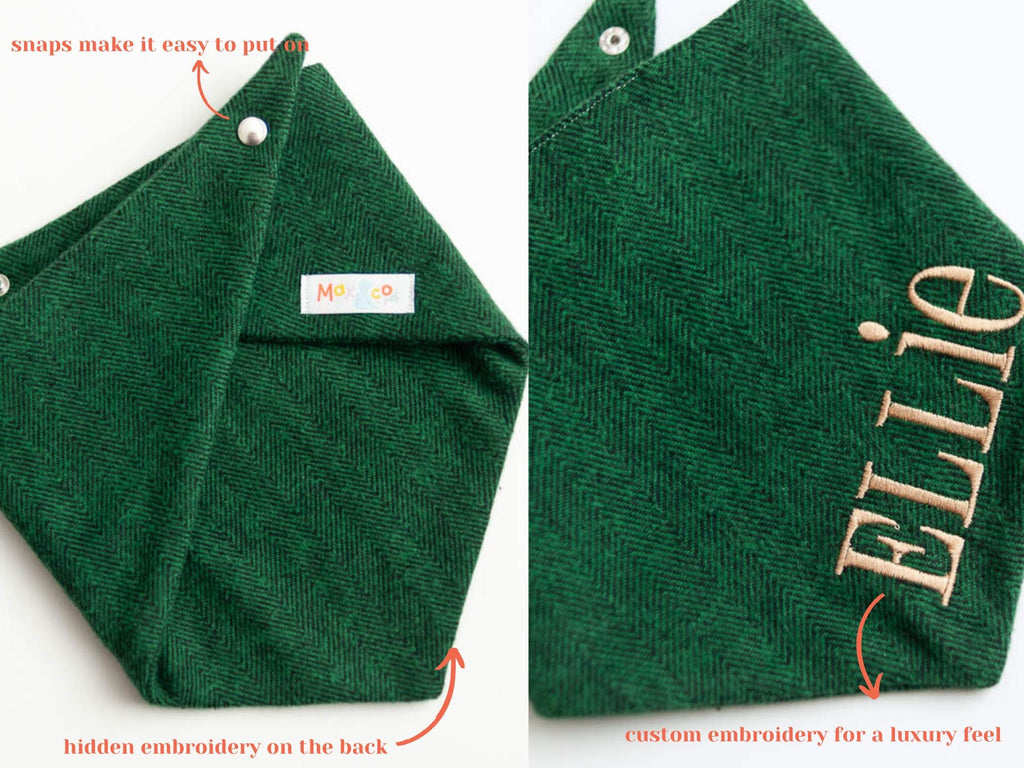 green dog bandana with snaps and personalized with dog name