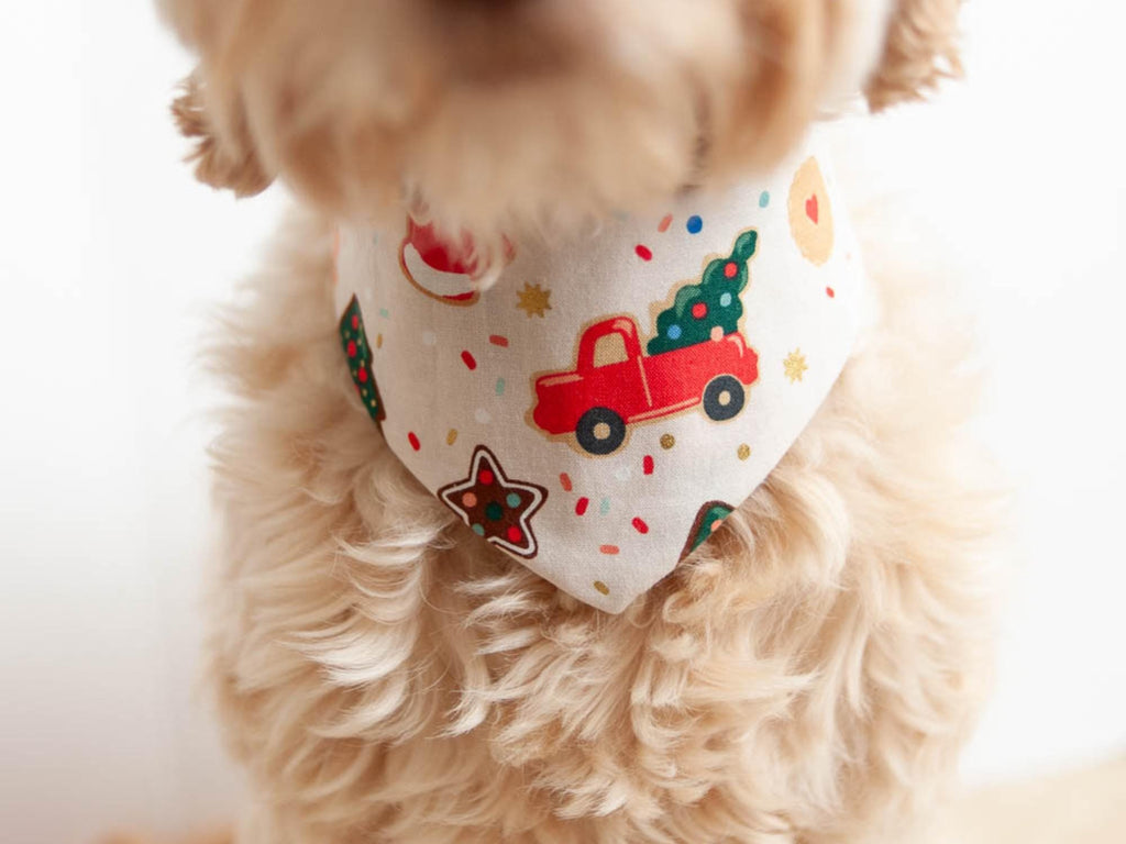 Christmas dog bandana with dog name embroidered