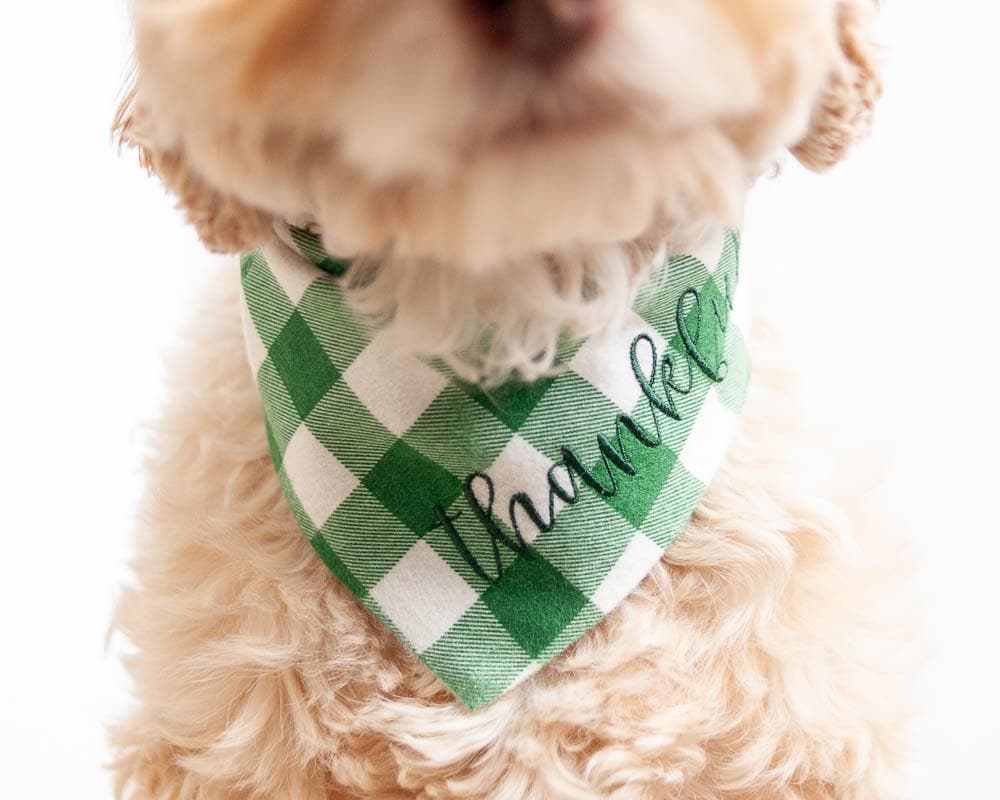 christmas dog bandana