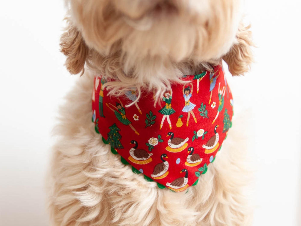 Christmas dog bandana with dog name embroidered