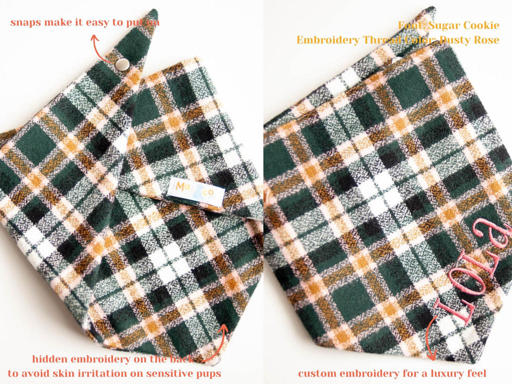 fall dog bandana with embroidered name perfect for photoshoot