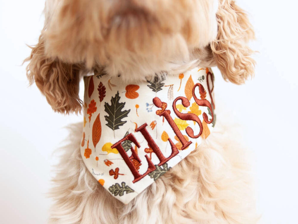 fall dog bandana with embroidered name perfect for photoshoot