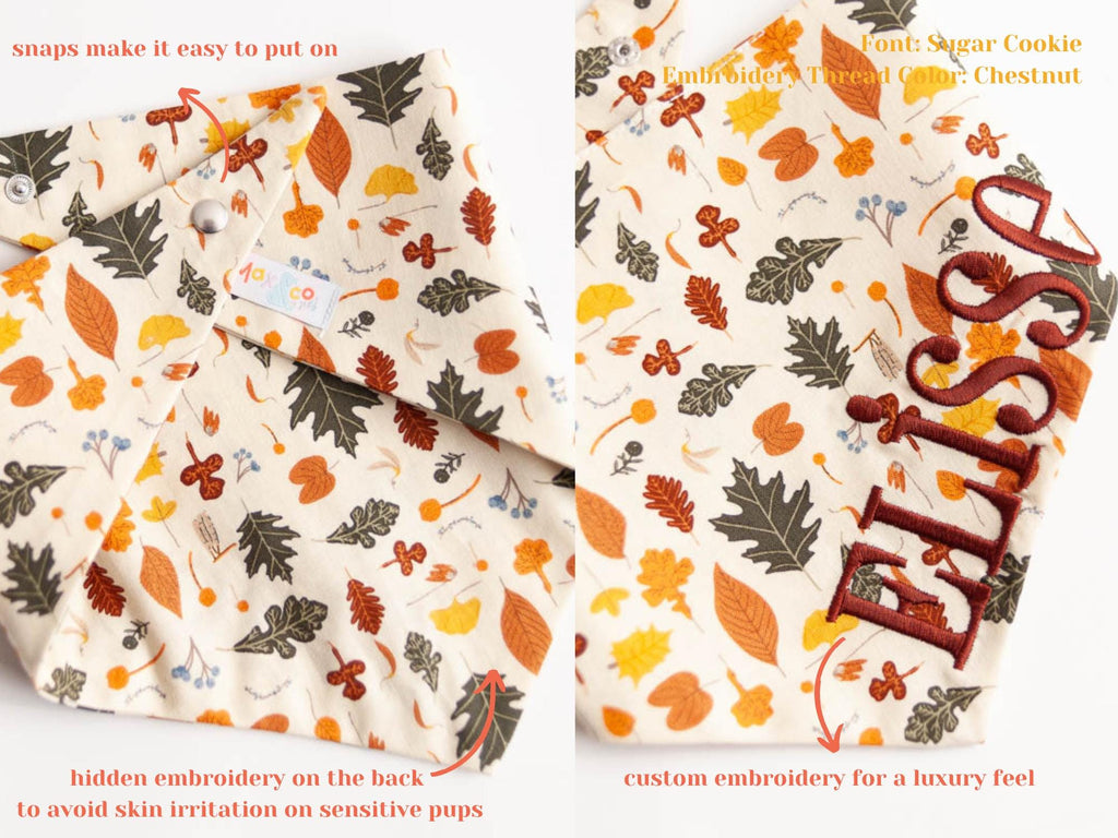 fall dog bandana with embroidered name perfect for photoshoot