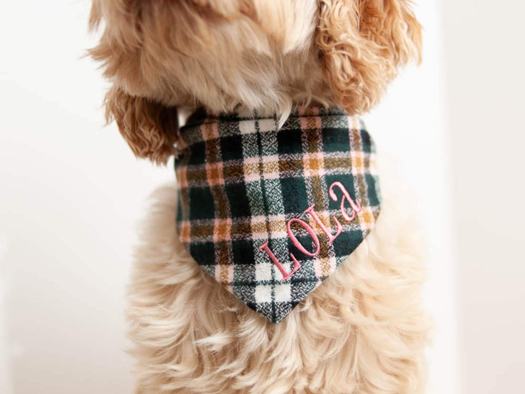 fall dog bandana with embroidered name perfect for photoshoot