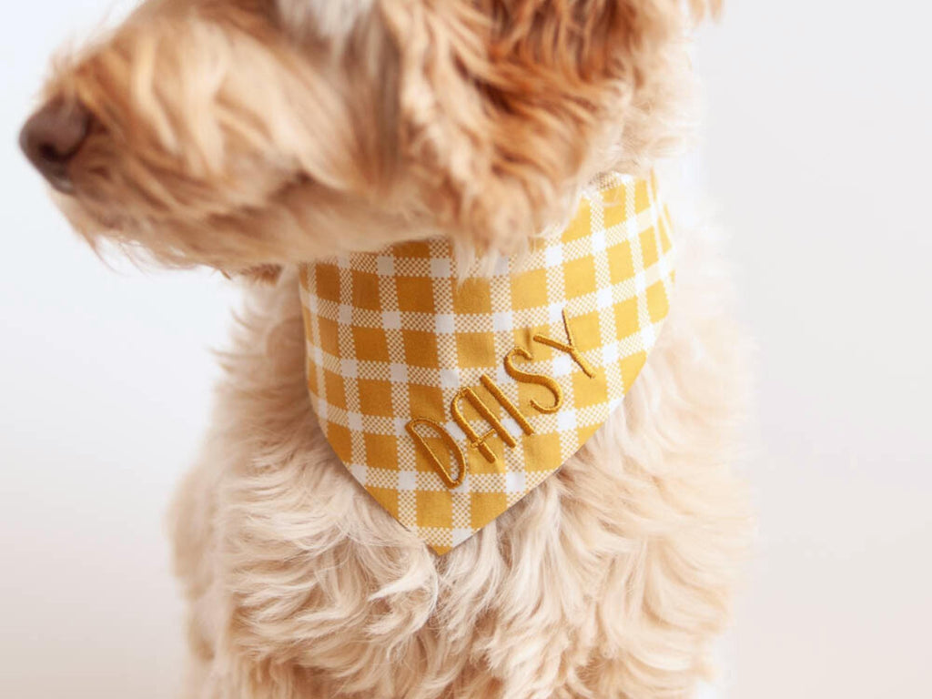 fall dog bandana with embroidered name perfect for photoshoot