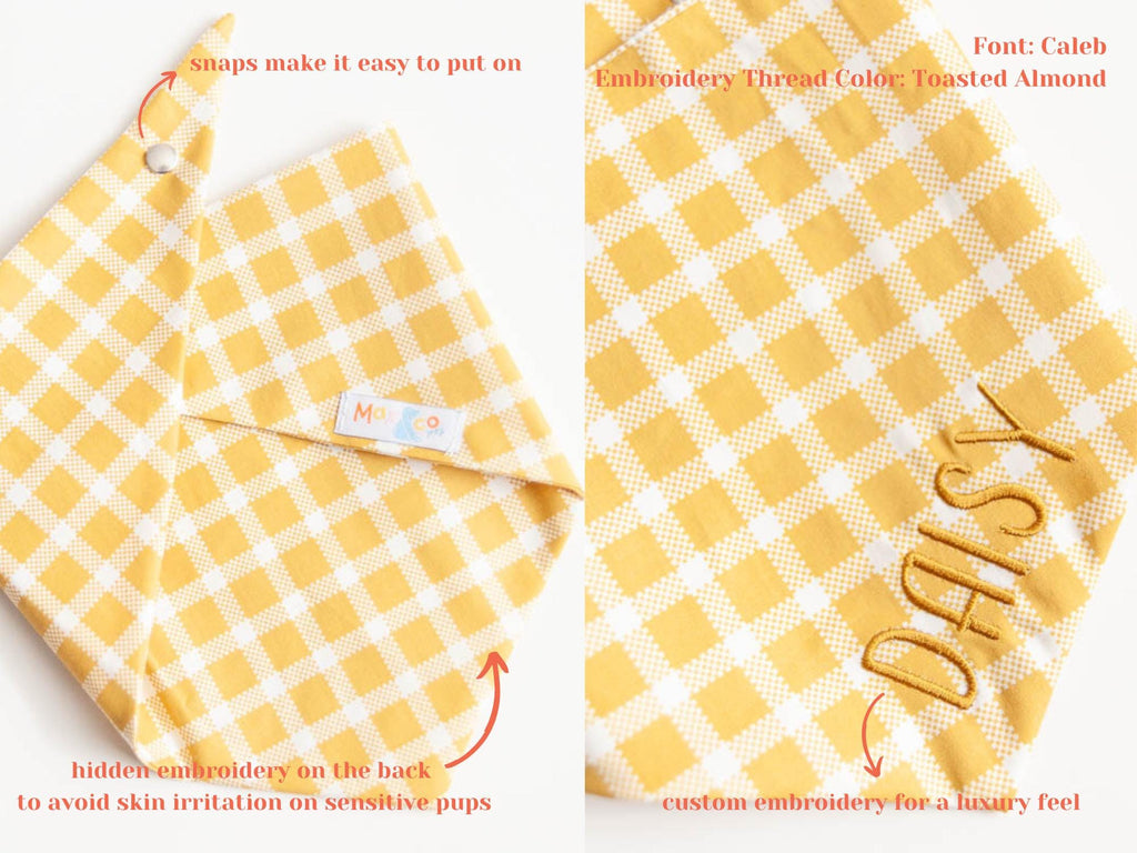 fall dog bandana with embroidered name perfect for photoshoot