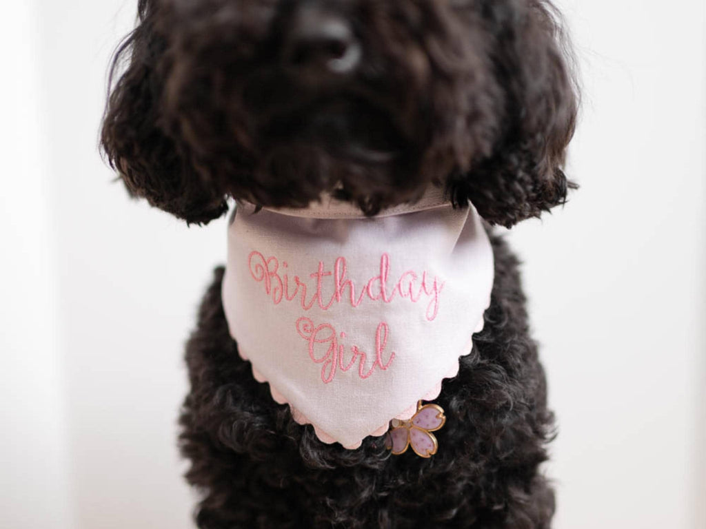 birthday girl dog bandana with Ric Rac trim