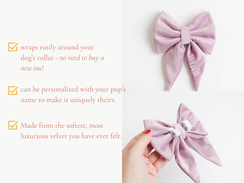 lavender dog collar bow; velvet dog bow with embroidery; personalized dog bow
