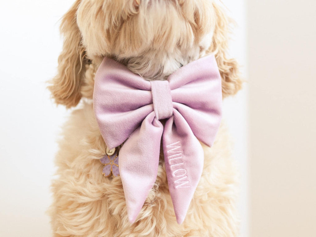 lavender dog collar bow; velvet dog bow with embroidery; personalized dog bow