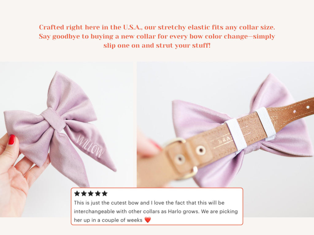 lavender dog collar bow; velvet dog bow with embroidery; personalized dog bow