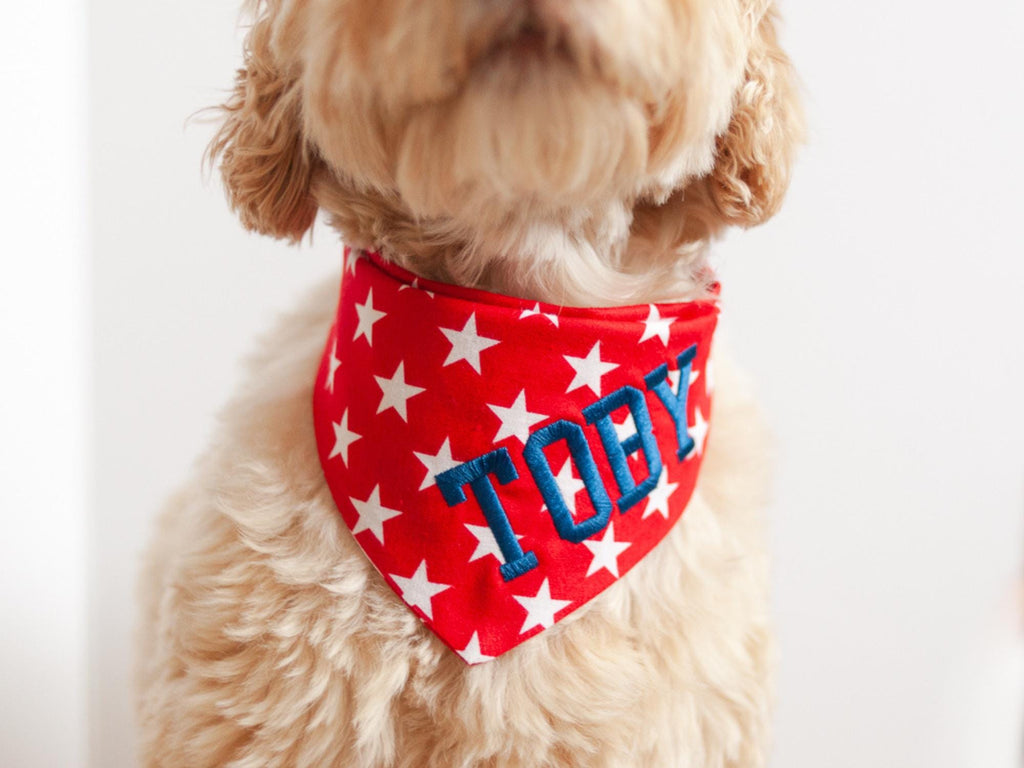 red bandana with white stars personalized with dog name