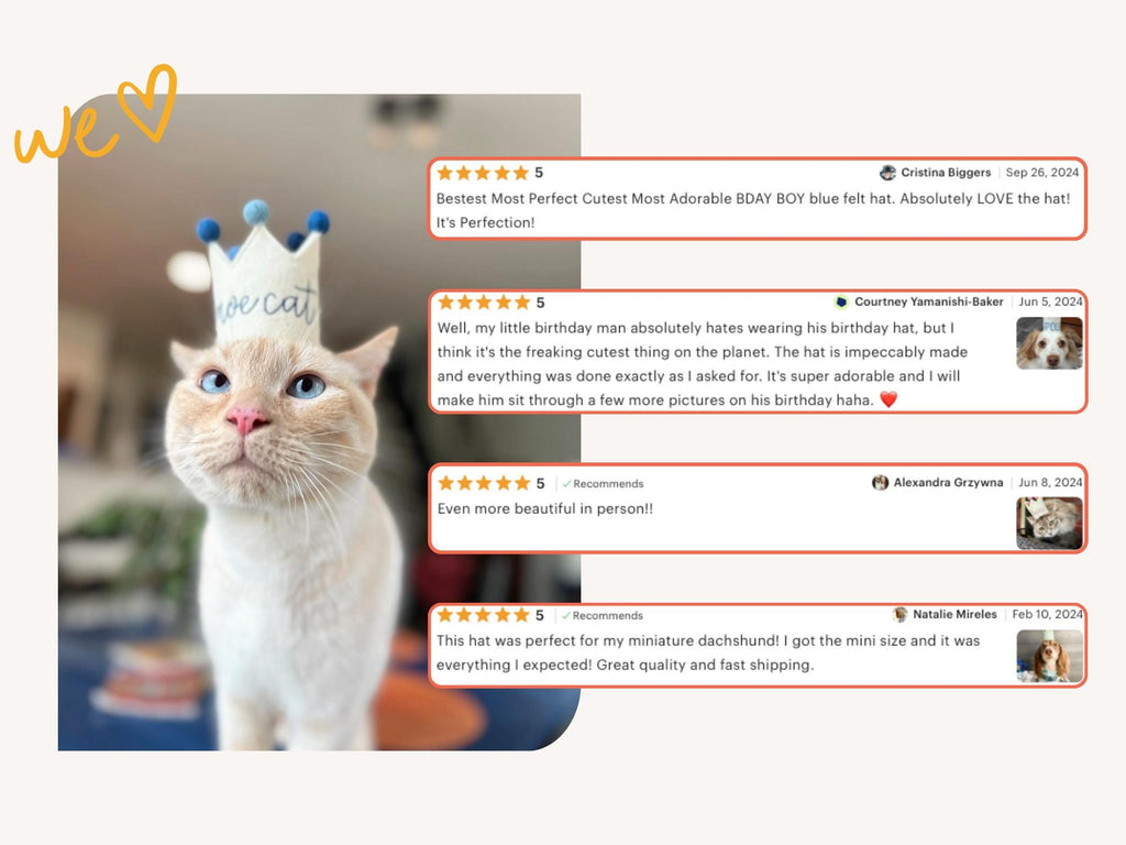 mini cat birthday crown with pompoms