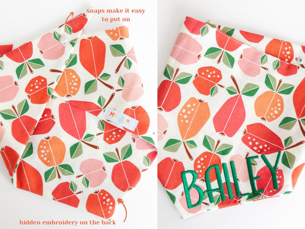 apples dog bandana with name; Teachers pet dog bandana; back to school dog bandana