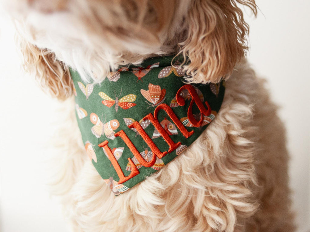 fall dog bandana with custom name embroidery for dogs