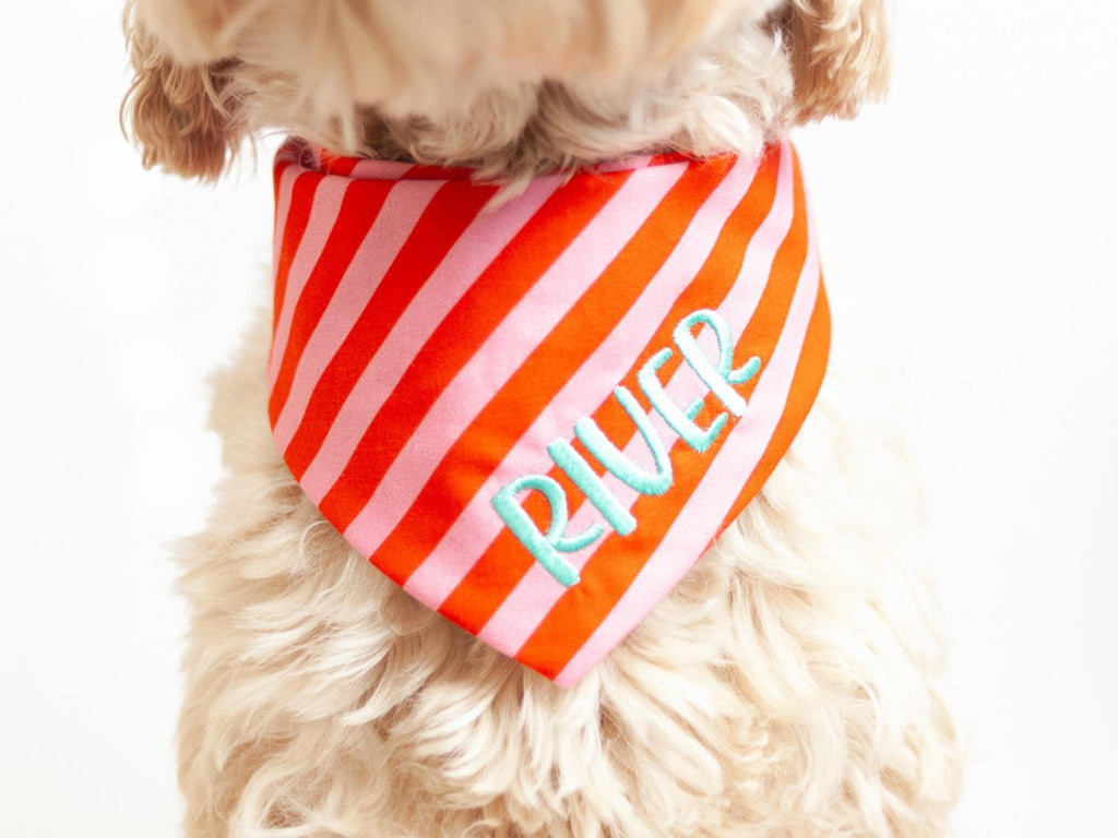 Candy cane dog bandana with name