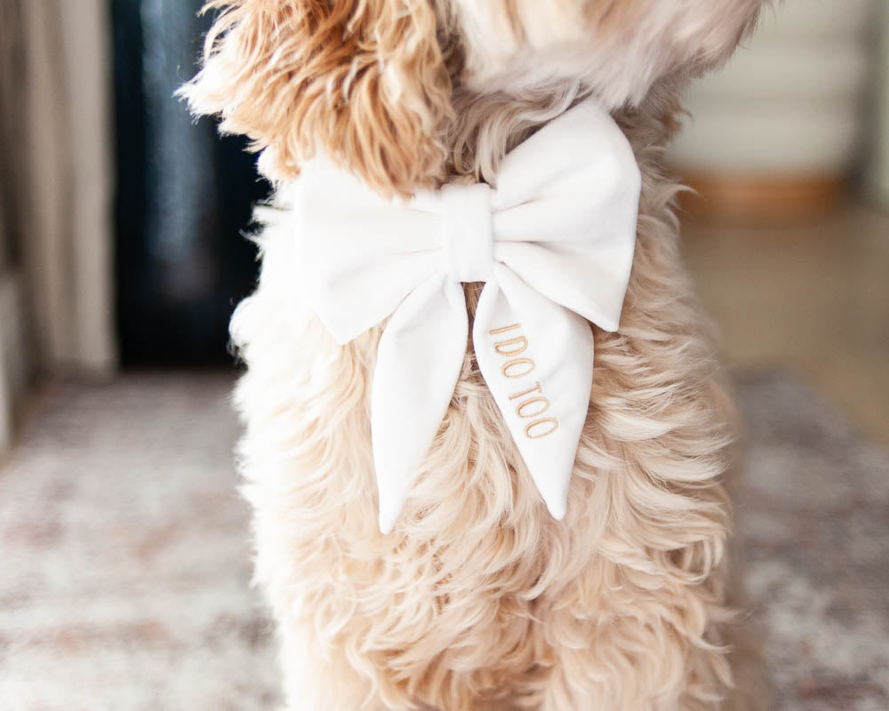 Dog Velvet Bow