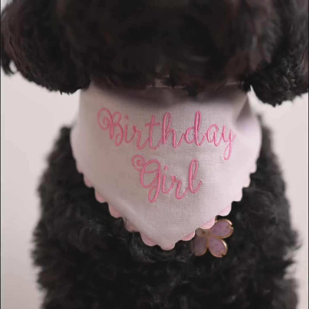 Orchid Birthday Girl Dog Bandana with Snaps, Bandana for Dog, Birthday Girl Bandana with Ric Rac trim, Dog Birthday Outfit, Linen Blend