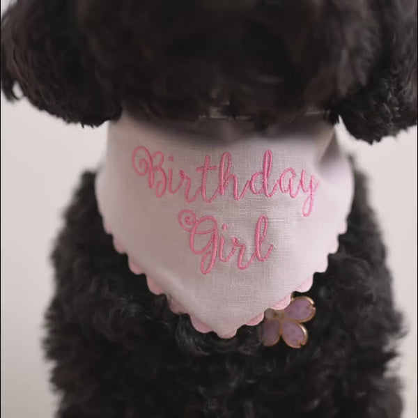 Orchid Birthday Girl Dog Bandana with Snaps, Bandana for Dog, Birthday Girl Bandana with Ric Rac trim, Dog Birthday Outfit, Linen Blend