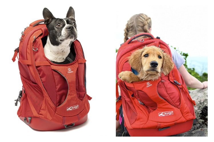 dog backpack carrier