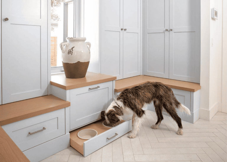 Homes Designed With Dogs In Mind