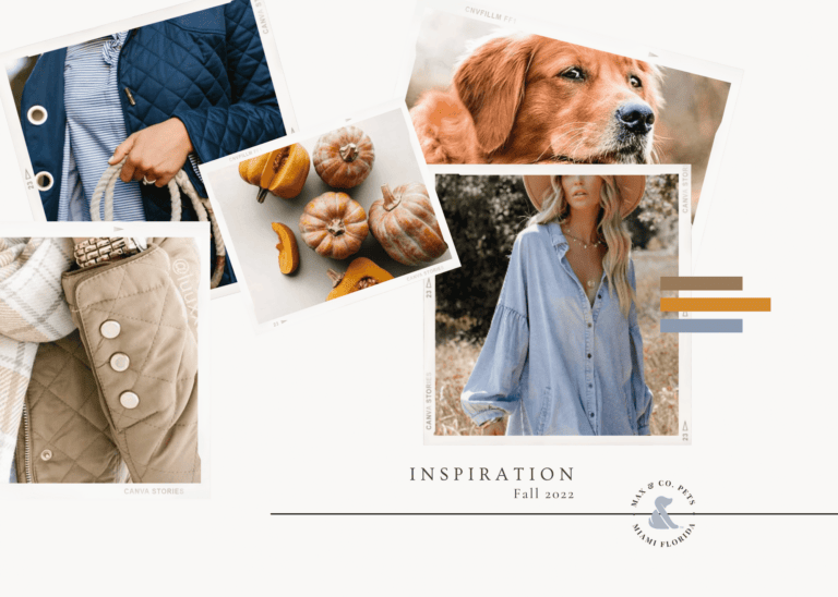 Sneak Peek – Fall Collection Moodboard