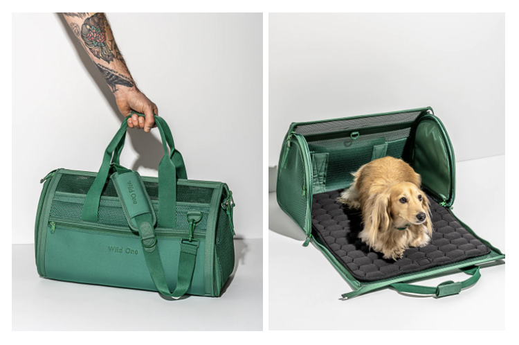 pet carrier 