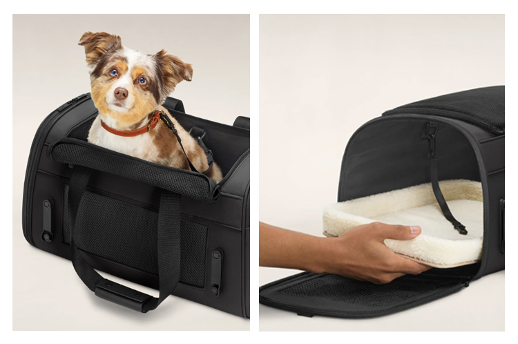 the pet carrier