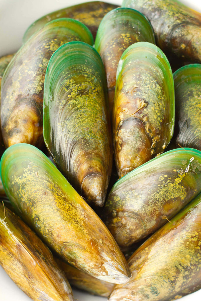 green lipped mussels good for dogs