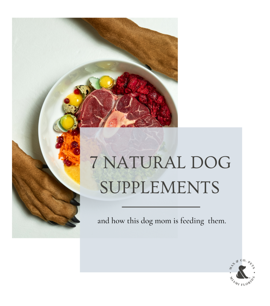 natural dog supplements