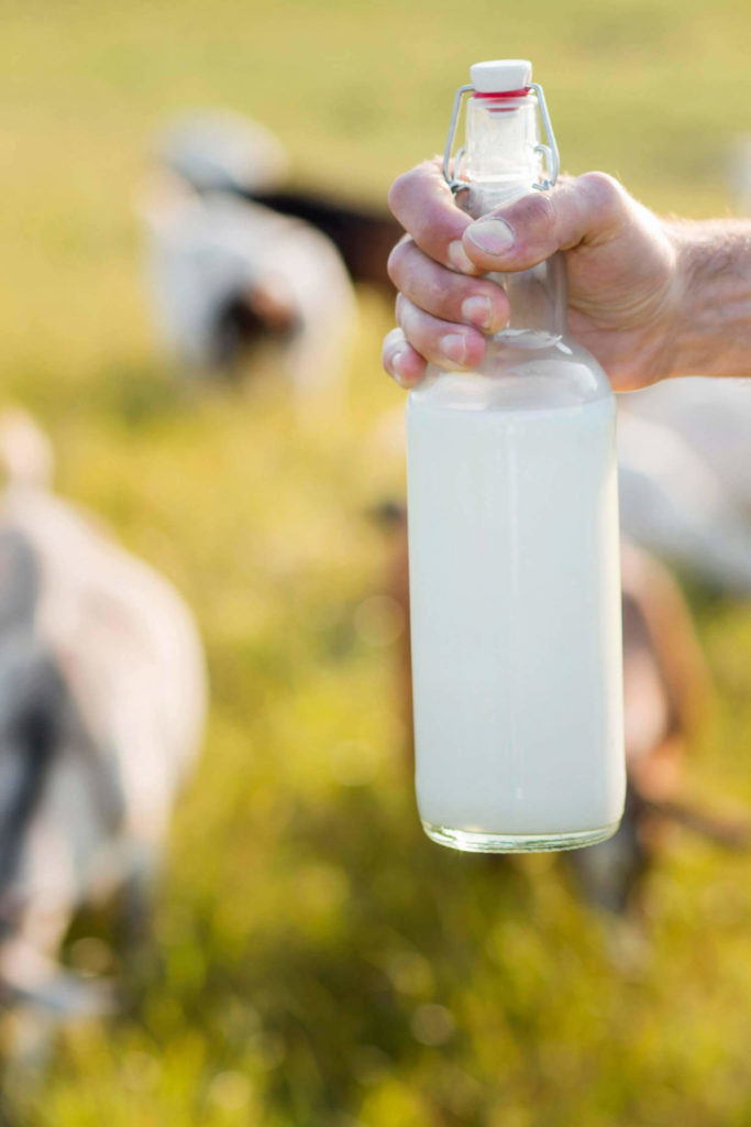 raw goat milk for dogs