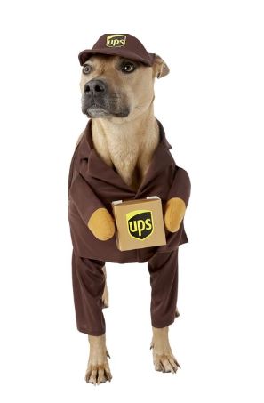 UPS Delivery Driver dog costume