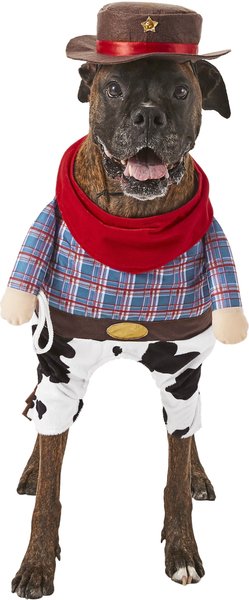 cowboy dog costume