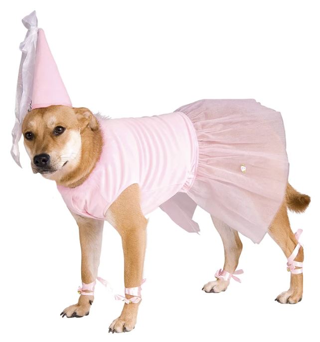 princess dog costume