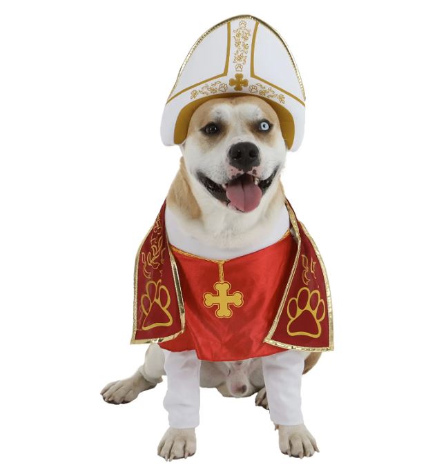 priest dog costume