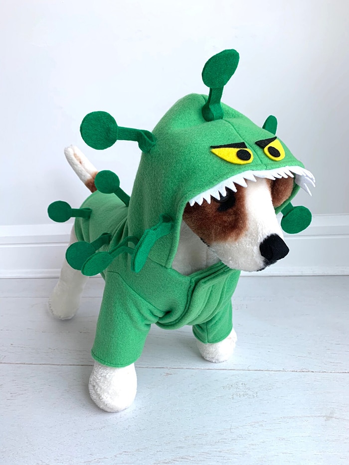 Corona Virus dog costume