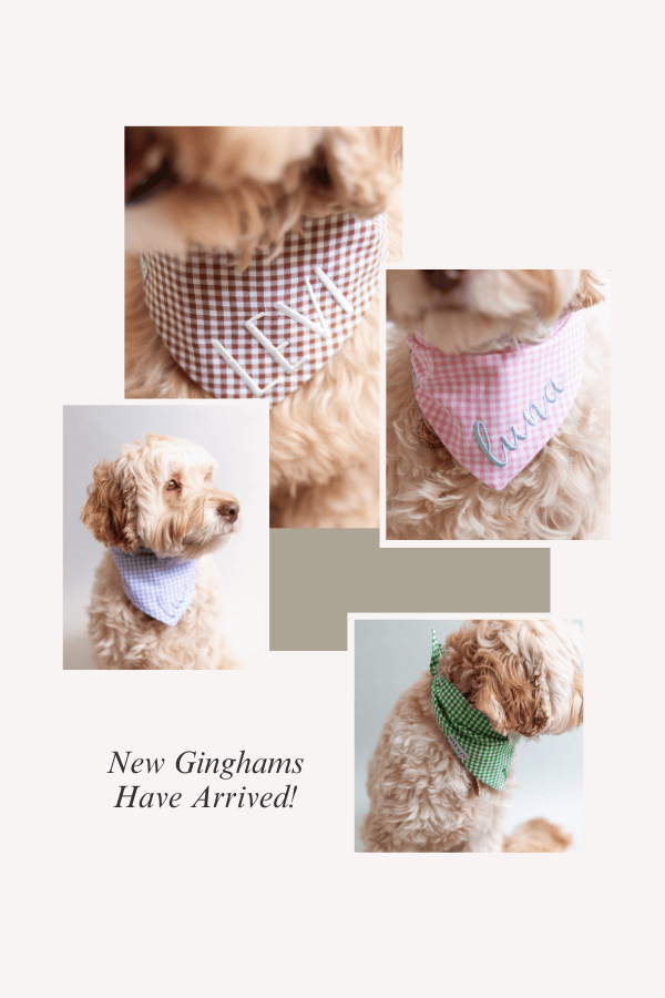 classic gingham dog bandanas