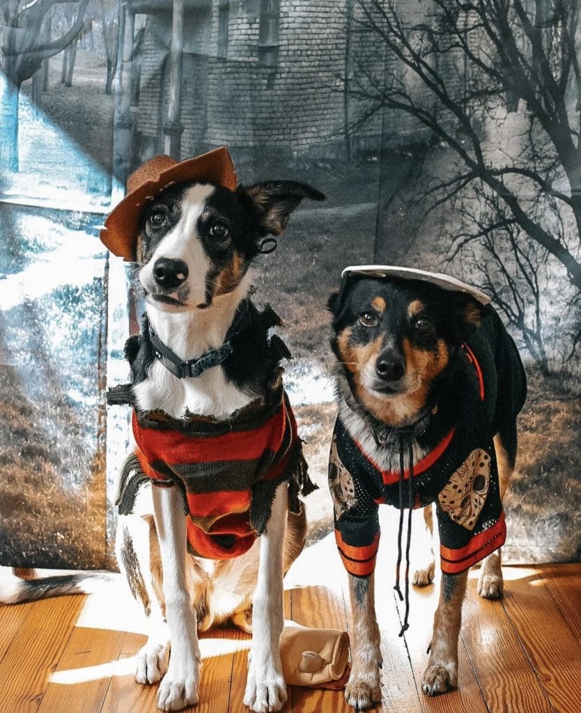 Jason and Freddy dog halloween costumes