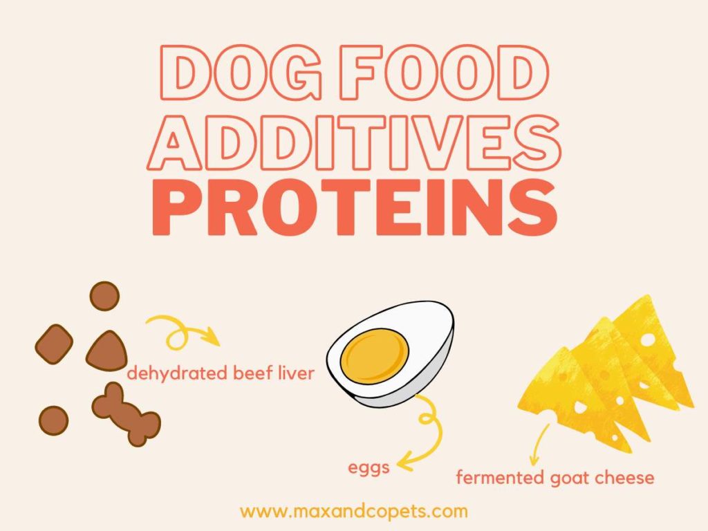 protein dog food additives including cheese, eggs, beef liver